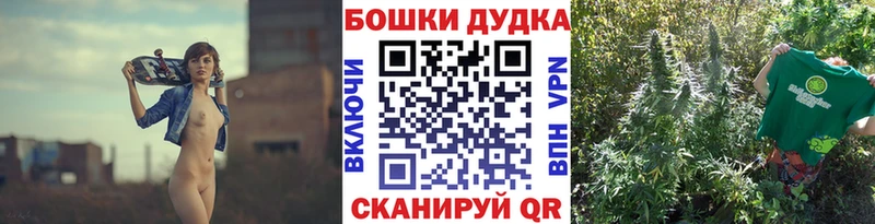 Конопля Bruce Banner  Купить где  Бодайбо 
